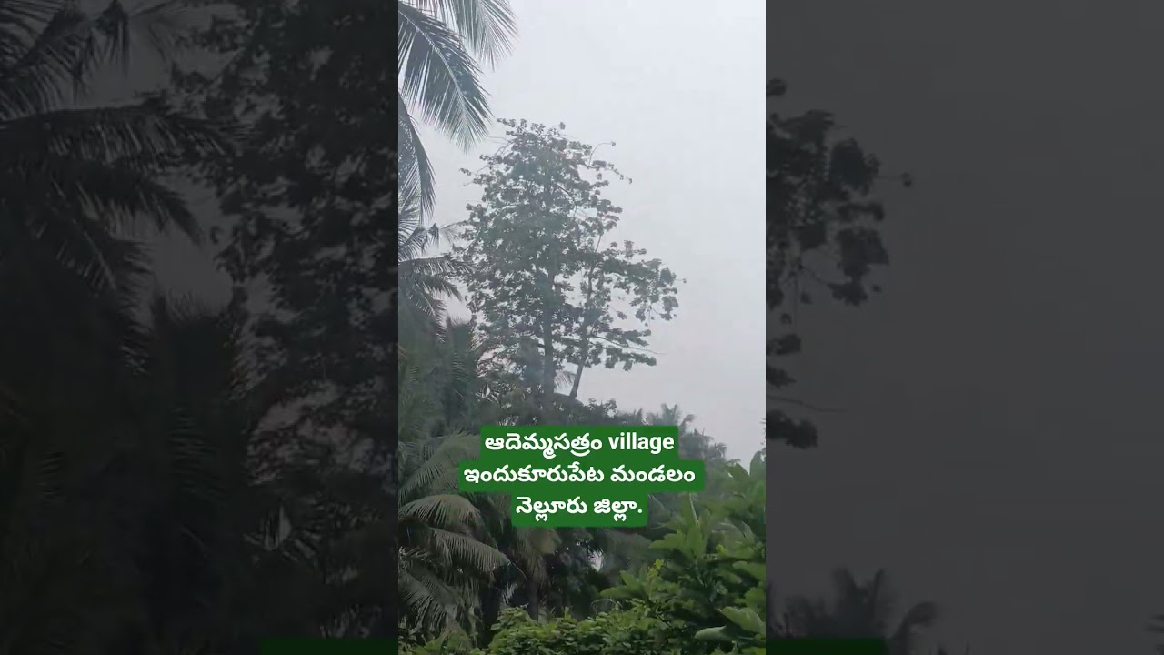 feel the greenary.....my friends... 