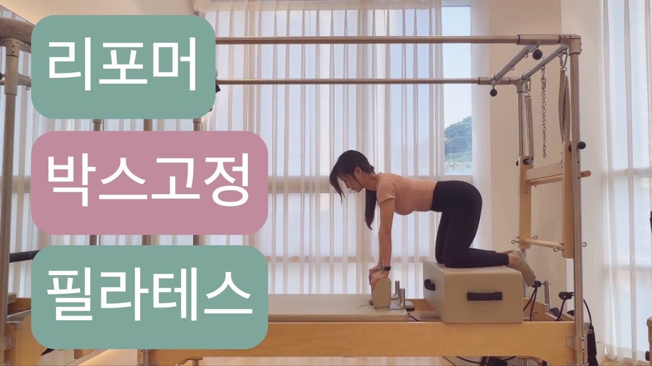 리포머 X 박스 고정 시퀀스📌: (노란스프링1)몸통을 더 단단하게 채워가요 reformer box workout