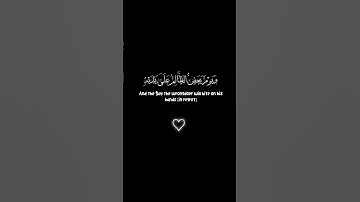 ويوم يعض الظالم على يديه ✨ سورة الفرقان ✨ محمد اللحيدان ✨ كروما قرآن كريم خلفية سوداء black ground 🖤