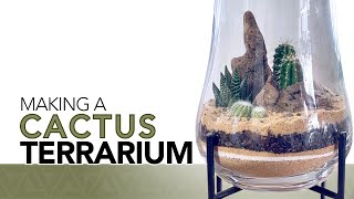 Making a cactus terrarium