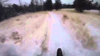 Fat Bike Down Horse