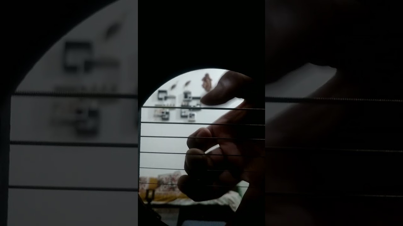 Hot Girl Bummer Fingerstyle cover 