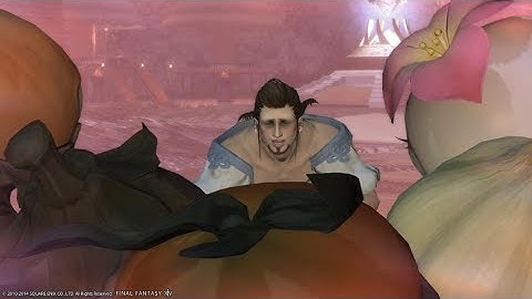 Final Fantasy XIV - Funny Housing glitch moments
