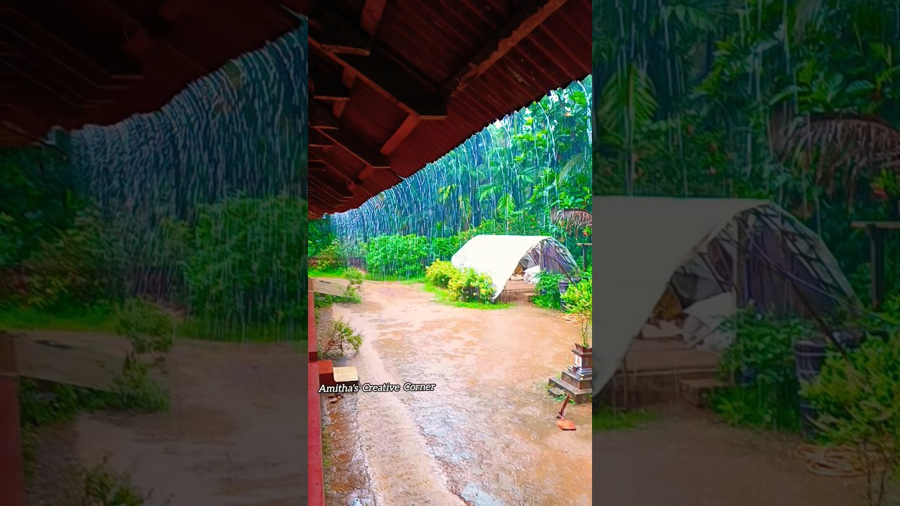 🌧️ Pre monsoon In village 🌧️