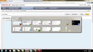Oracle PL SQL Functions Exception User Defined Exceptions