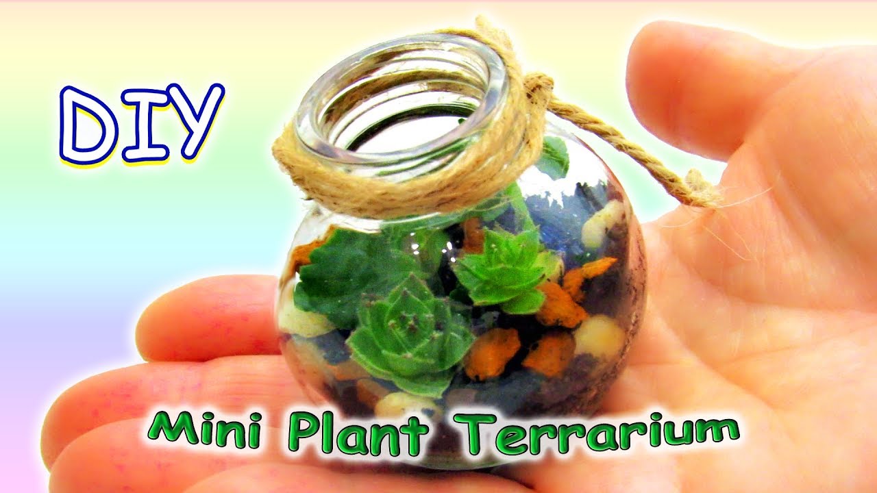 Tutorial: Spice Jar Mini Terrariums