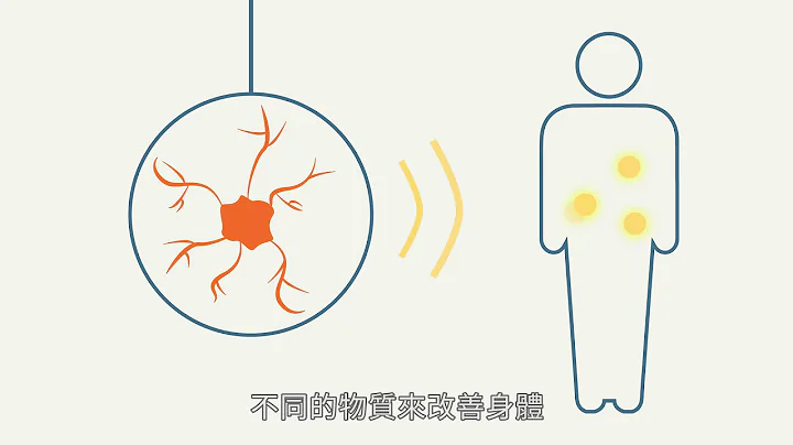 兩分鐘看腸道如何影響我們的心情 - 天天要聞