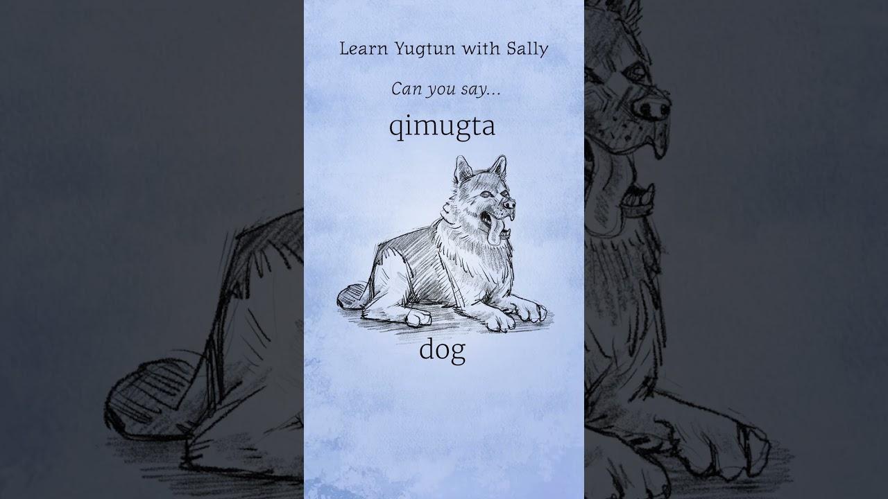 Learn Yugtun with Sally Samson