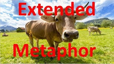 What is an Extended Metaphor?