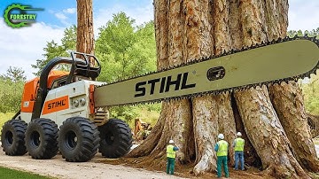 Extreem gevaarlijke en snelste grote kettingzaagmachine voor het zagen van bomen | Monster Stump ...