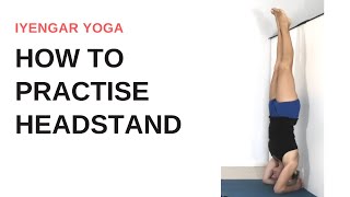 How to practice HEADSTAND (Salamaba Sirsasana) | Iyengar Yoga