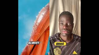 What If Your Body Had No Skin