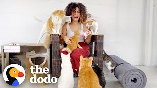 This Woman Rescued Over 200+ Stray Animals | The Dodo