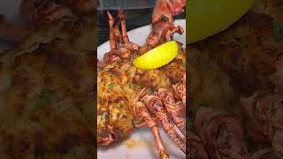 The ORIGINAL Stuffed Lobster at Boone’s in Portland, Maine 🦞 #shorts