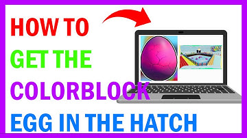 How To Get COLOR BLOCK EGG in The Hatch Event! (2025)