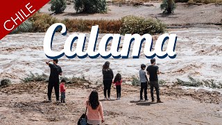 Cuando llueve en el desierto | Calama, Chile