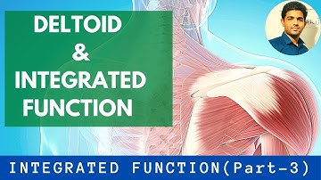 Deltoid & Integrated Function| Biomechanics & Pathomechanics [Part 3]