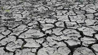 Drought and crisis environment on dry lake bed with cracked ground
