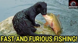 Fast and Furious Fishing with Black Mamba!