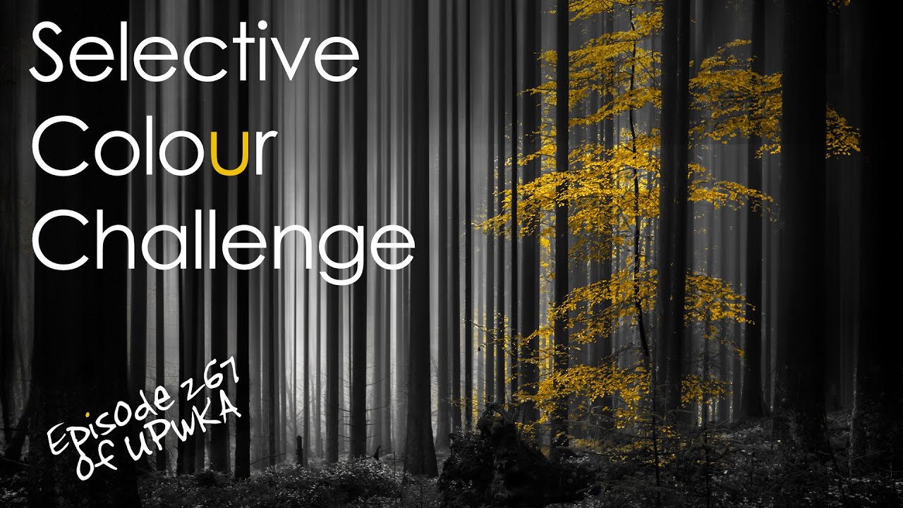 Selective Colour Photo Challenge - Episode 267 of UPwKA | Photography ...