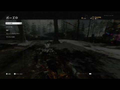 Call of Duty®: Black Ops Cold War  ボス透明化バグ？