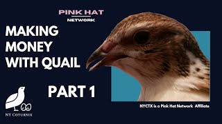 How to Make Money With Quail - Ways to Profit From Coturnix Quail