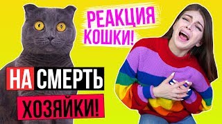 ЧТО ЕСЛИ УМЕРЕТЬ ПРИ КОШКЕ? | РЕАКЦИЯ КОШКИ | ПРАНК