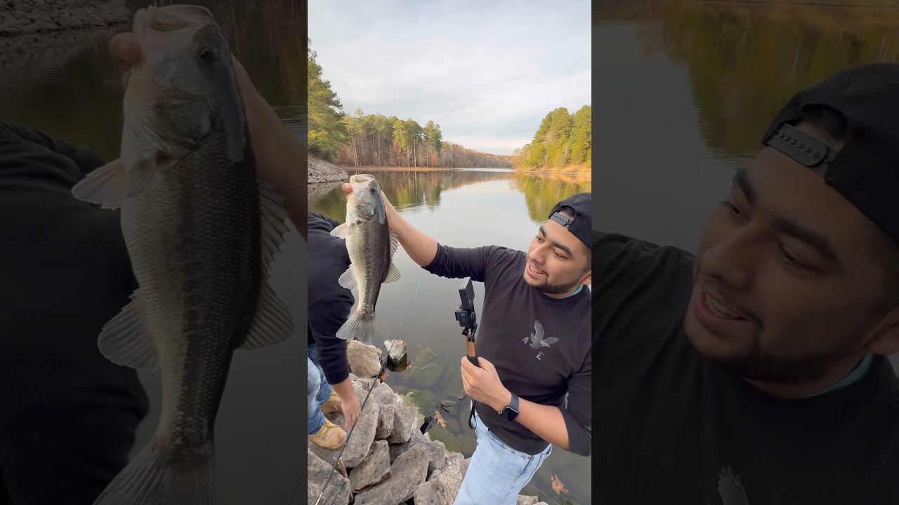 ￼ jordan lake   fishing ￼