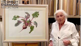 Dr. Shirley Sherwood presents: 'Beetroot' by Susannah Blaxhill