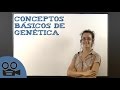 Conceptos básicos de genética