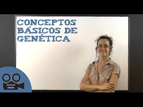 Video: ¿Cómo se determina la función genética?