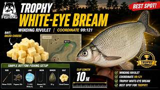 TROPHY White-Eye Bream Spot! Best Diced Cheese Setup | Winding Rivulet | Russian Fishing 4
