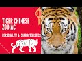 TIGER CHINESE ZODIAC : PERSONALITY & CHARACTERISTICS