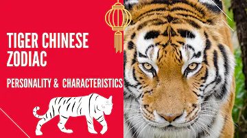 TIGER CHINESE ZODIAC : PERSONALITY & CHARACTERISTICS