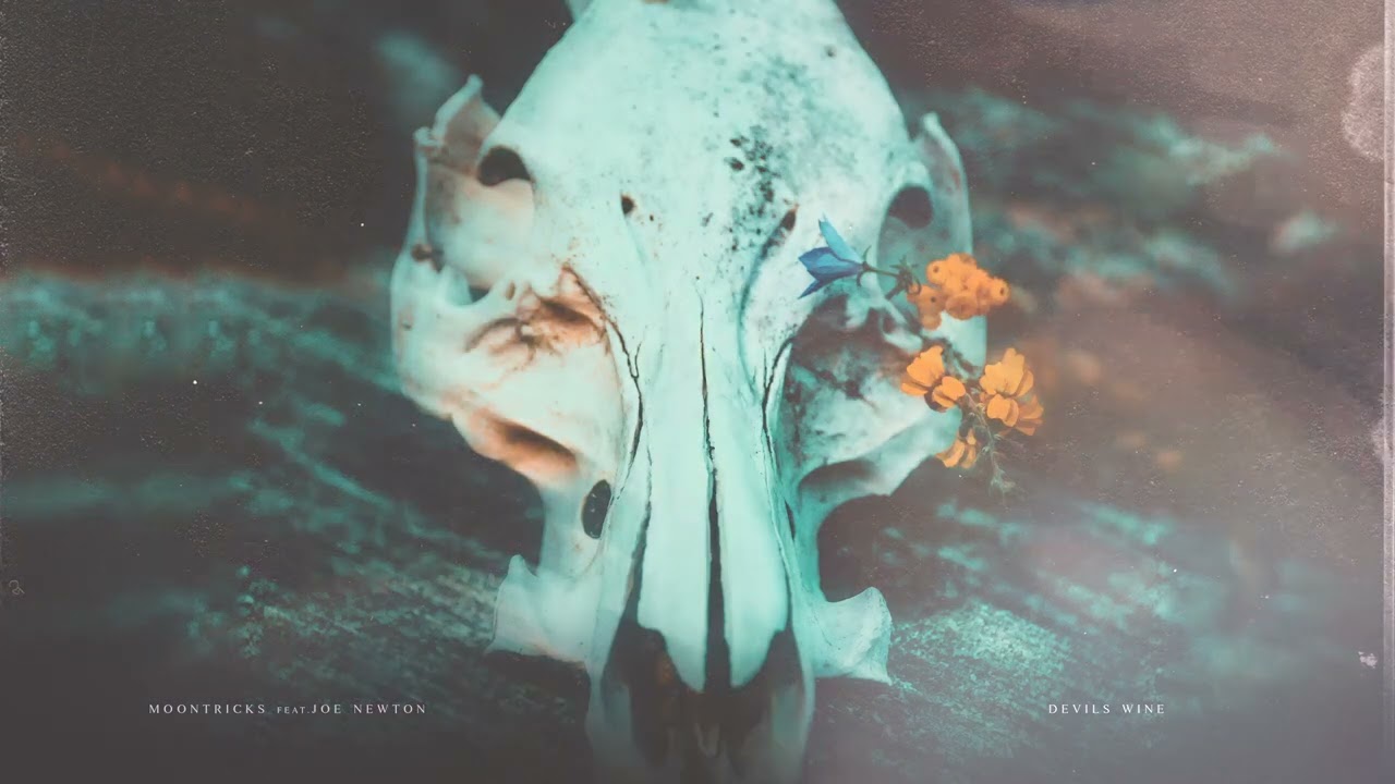 Watch Devil's Wine w/ Joe Newton on YouTube Watch Devil's Wine w/ Joe Newton on YouTube