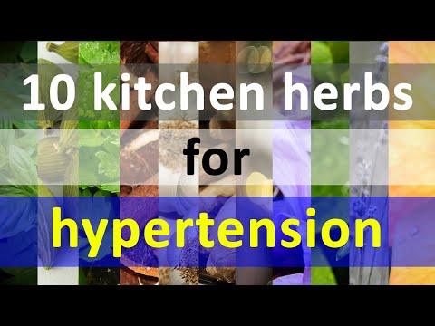 10 Herbs for Hypertension which Can Help Keep Your Blood Pressure Normal