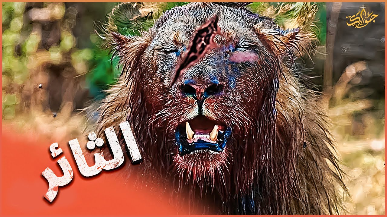 من أسد جبان إلى أسد قرر مواجهة الموت وحده إنه الأسطورة نكوهوما جونيور