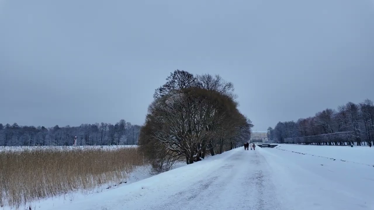 The Breathtaking Beauty of the Summer Palace