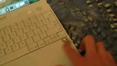 iBook G4 trick.