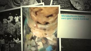 Plastics: Choking the Seas