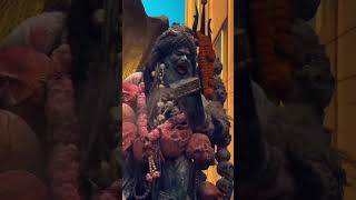 Download Lagu #Kyunki Baba Hai Bhole Bhai#video ko#ek like aur subscribe#kar dijiye aap log#kaise ho###__@@@__🙏🙏🌅🌅 MP3