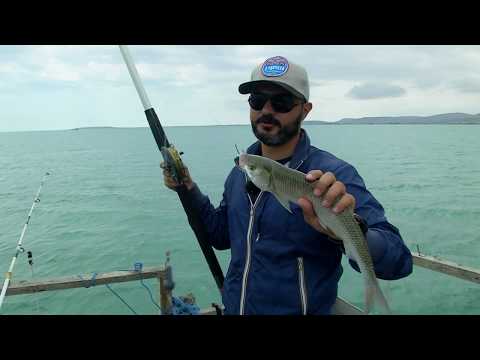 Грязевые вулканы \ С удочкой по Азербайджану