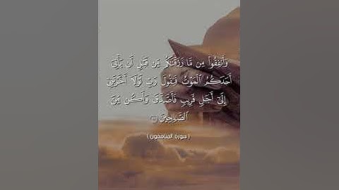 تلاوة عطرة من سورة المنافقون بصوت القارئ يحيى رشاد من صلاة التهجد#قرآن #قرآن_كريم #قرآن_بصوت_جميل