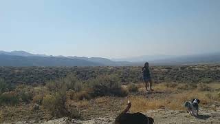 Exploring the 10 acres of land my family purchased a few years ago!