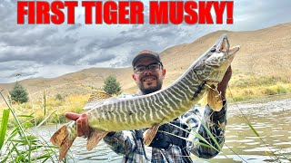 Insane River Multi Species Fishing in Utah (Trout/River Musky)