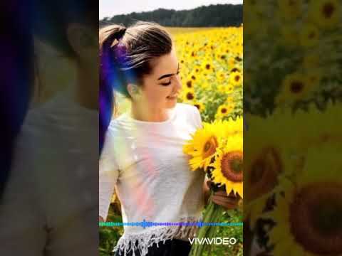 نوال الزغبى الجمال لية ناسة حالات واتس