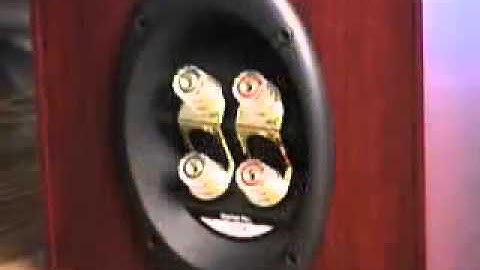 How to Bi wire or Bi amplify Your Speakers