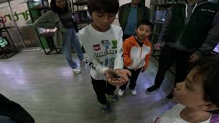 Jacob holds a tarantula spider (arana) at Artrotheca Moi Insectors Exoticos