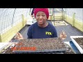 How To Prepare Seed Starting Trays For Planting