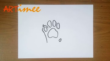 How to Draw a Dog Paw
